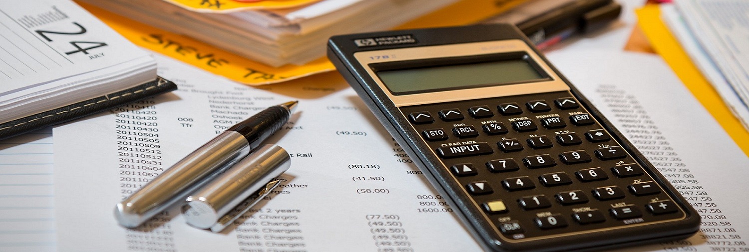 Budget 2020-21 Client Guide