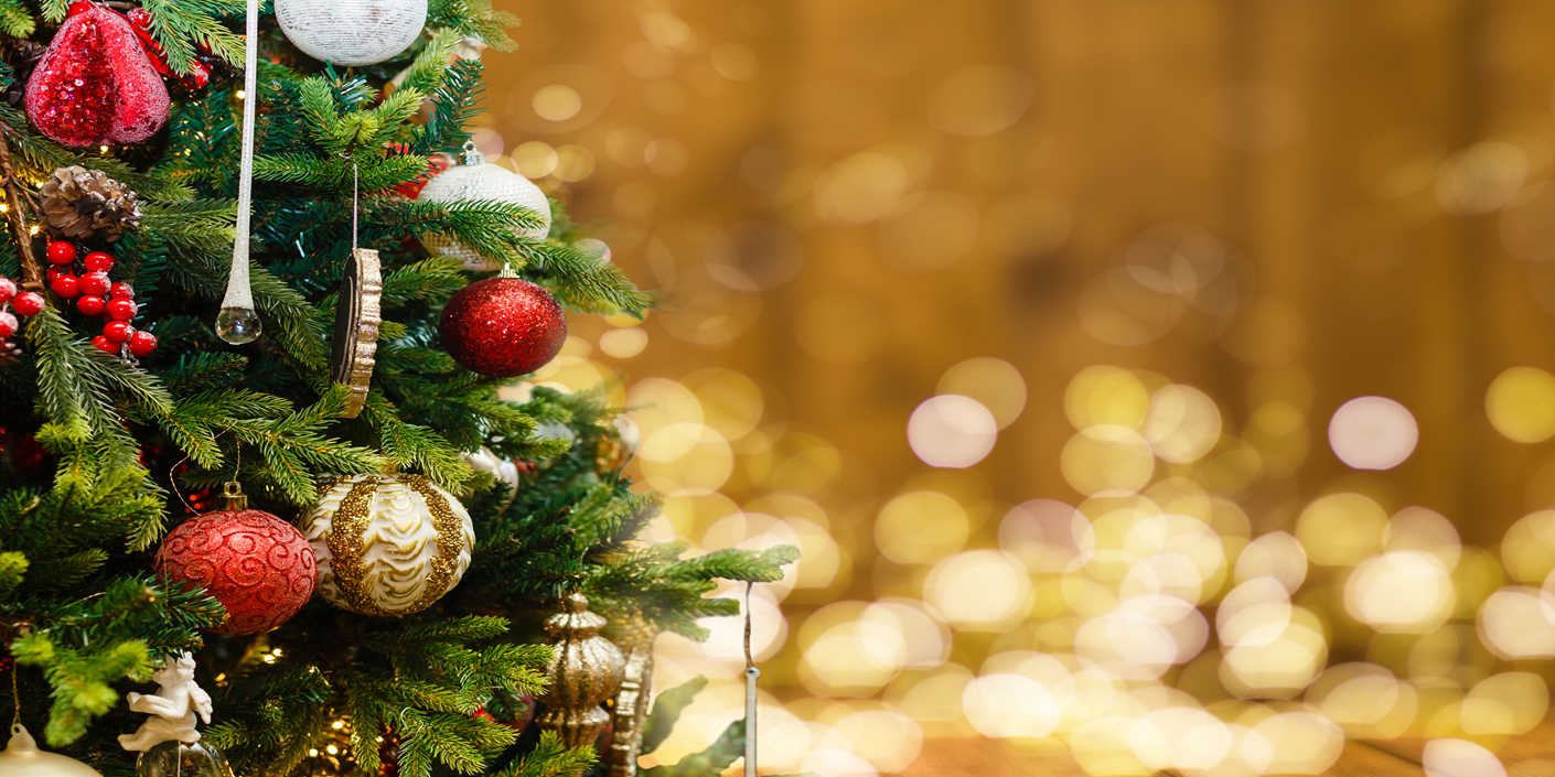 Newsletter – December 24